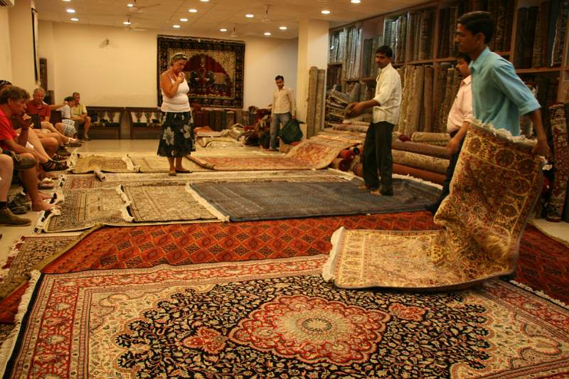 India & Nepal 2011 - 1459